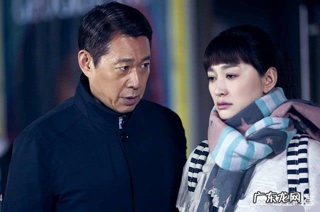 如何评价由李幼斌、李小冉、张丰毅主演的电视剧《因法之名》?