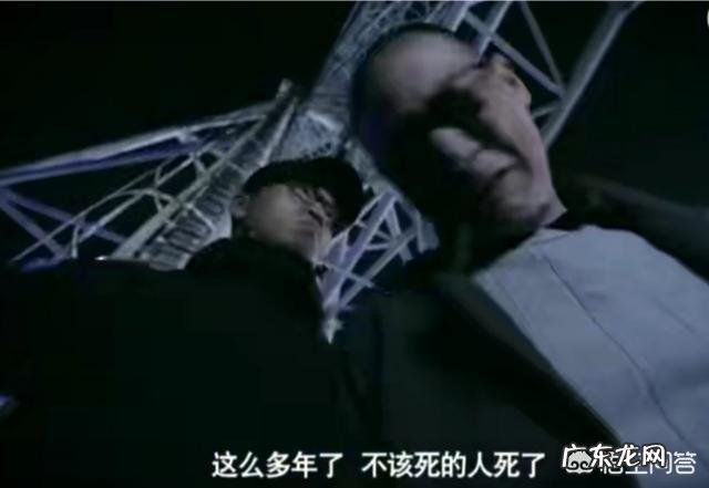 如何评价由李幼斌、李小冉、张丰毅主演的电视剧《因法之名》？