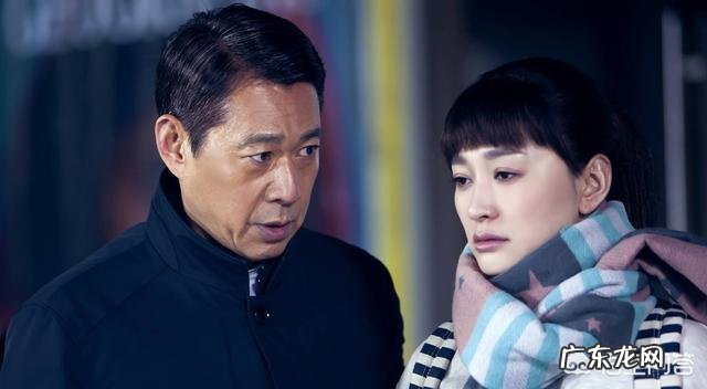 如何评价由李幼斌、李小冉、张丰毅主演的电视剧《因法之名》?