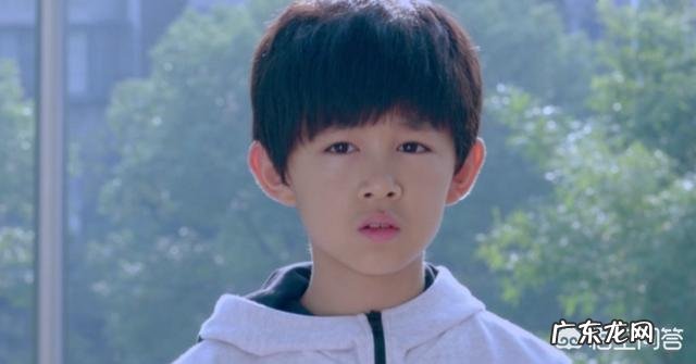 如何评价由李幼斌、李小冉、张丰毅主演的电视剧《因法之名》?