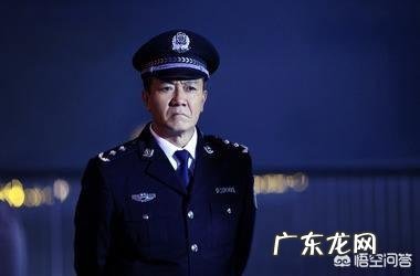 如何评价由李幼斌、李小冉、张丰毅主演的电视剧《因法之名》?