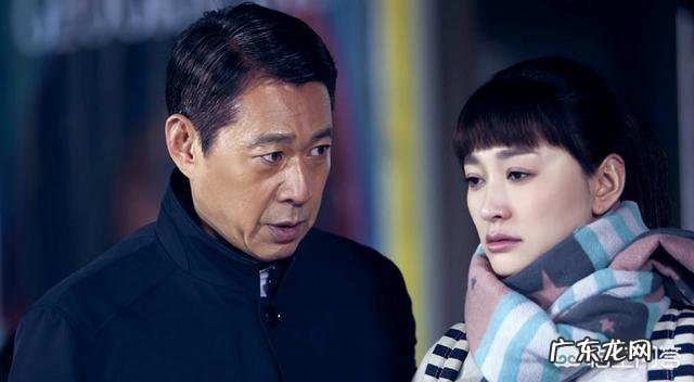 如何评价由李幼斌、李小冉、张丰毅主演的电视剧《因法之名》？