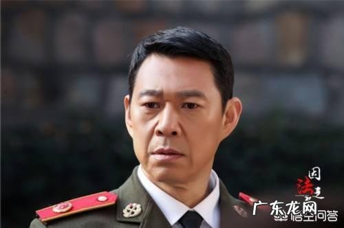 如何评价由李幼斌、李小冉、张丰毅主演的电视剧《因法之名》?