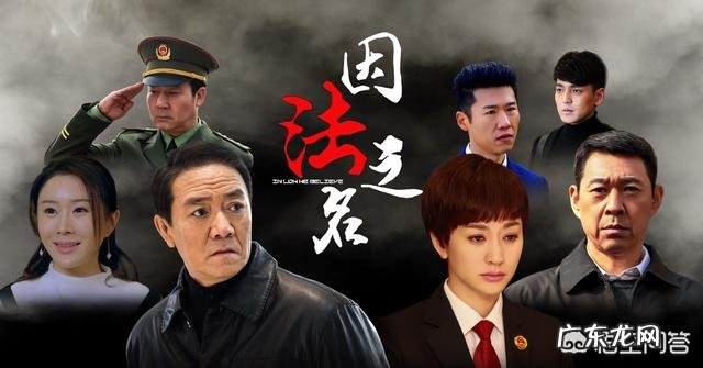 如何评价由李幼斌、李小冉、张丰毅主演的电视剧《因法之名》?