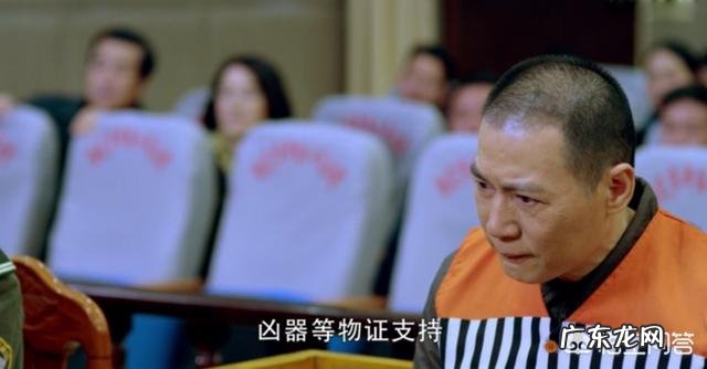 如何评价由李幼斌、李小冉、张丰毅主演的电视剧《因法之名》？