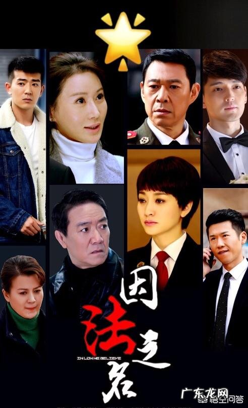 如何评价由李幼斌、李小冉、张丰毅主演的电视剧《因法之名》？