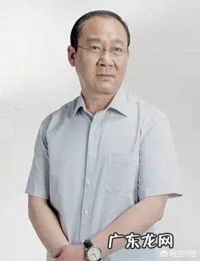 如何评价由李幼斌、李小冉、张丰毅主演的电视剧《因法之名》?