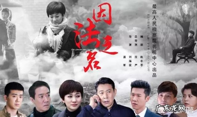 如何评价由李幼斌、李小冉、张丰毅主演的电视剧《因法之名》?