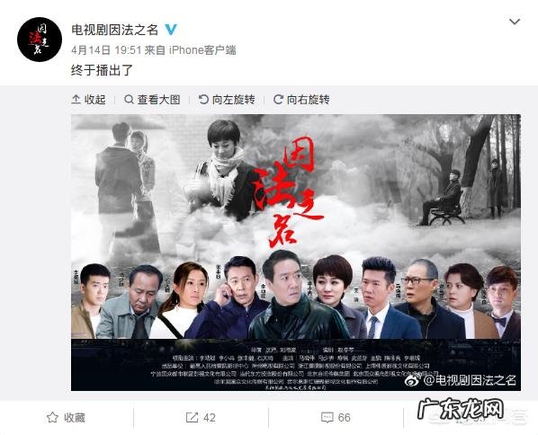 如何评价由李幼斌、李小冉、张丰毅主演的电视剧《因法之名》？