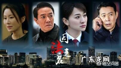 如何评价由李幼斌、李小冉、张丰毅主演的电视剧《因法之名》?