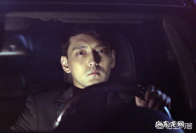 如何评价由李幼斌、李小冉、张丰毅主演的电视剧《因法之名》?