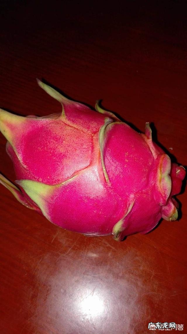 如何自己种火龙果？有哪些需要注意的问题？