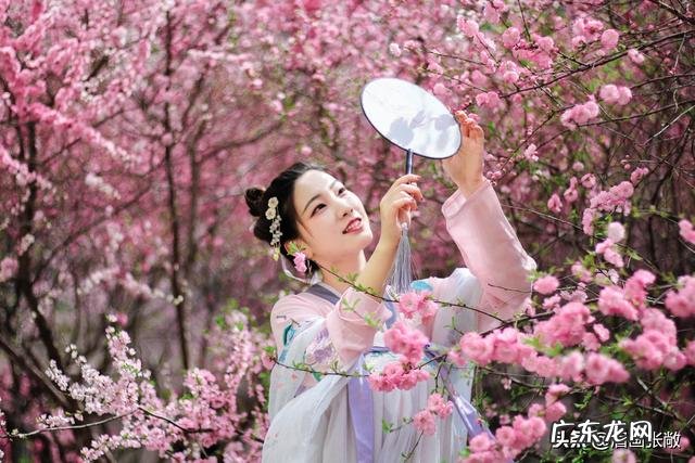 桃花依旧笑春风，这句诗为什么那么出名？