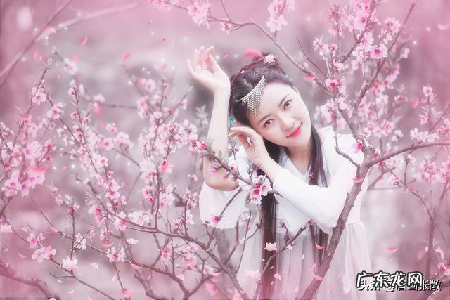 桃花依旧笑春风，这句诗为什么那么出名？