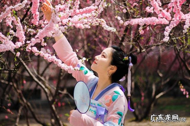 桃花依旧笑春风，这句诗为什么那么出名？