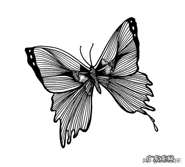 你还记得小时候自己写的作文“我的梦想”吗,觉得如何?