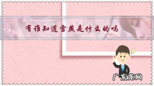 真正的雪燕是什么样的 有谁知道雪燕是什么的吗?