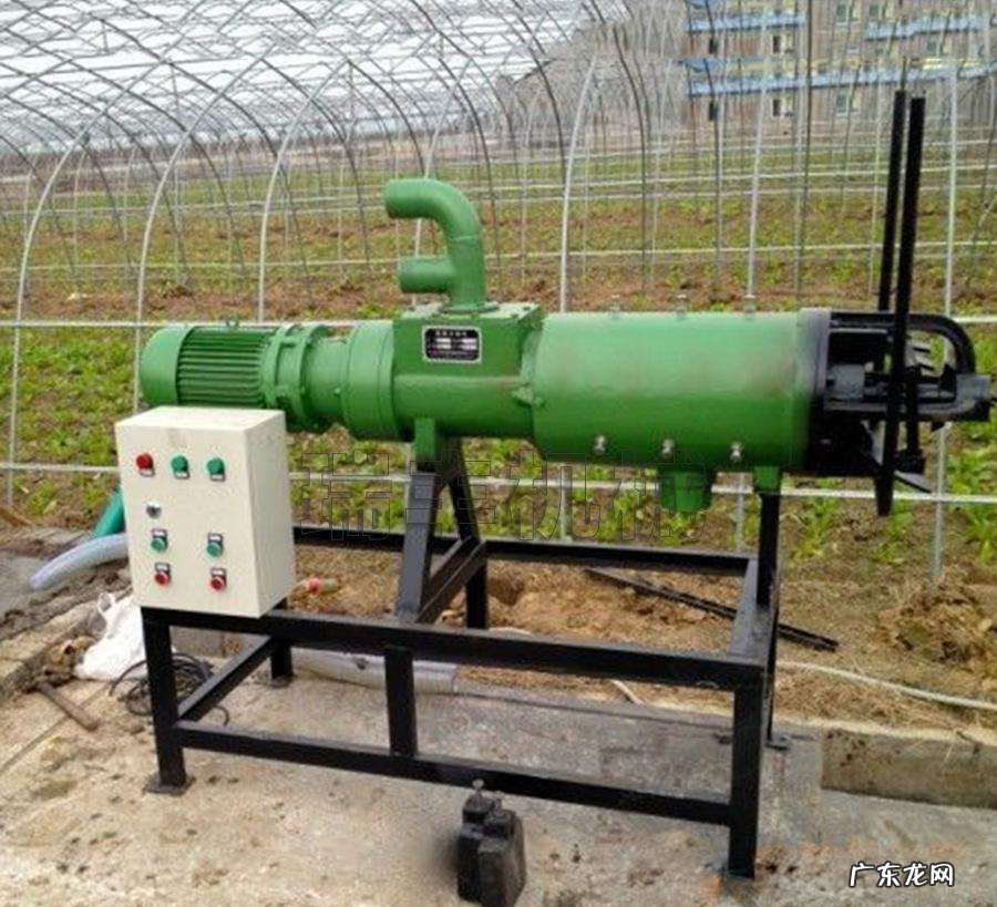 猪粪怎么处理氨气