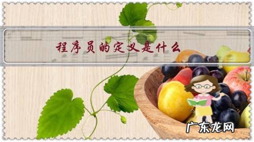 程序员的定义是什么？会敲代码的都是程序员吗？