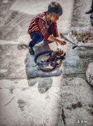 有人吃过蛇肉吗？