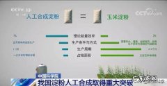当发现中药里起作用的一种或几种化合物并人工合成，中药会消失吗