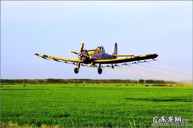 水稻用药后几天可放掉田里的水