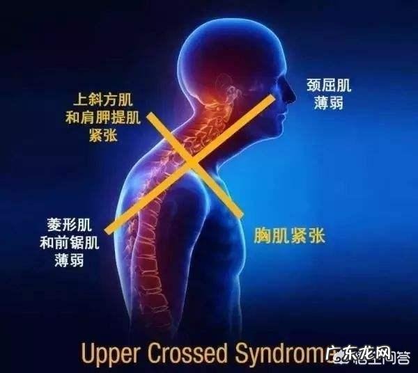 天天坚持做俯卧撑会有什么效果?