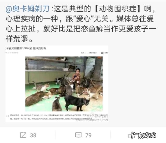 怎么看待甘肃女教师卖房产养240条流浪狗一事?