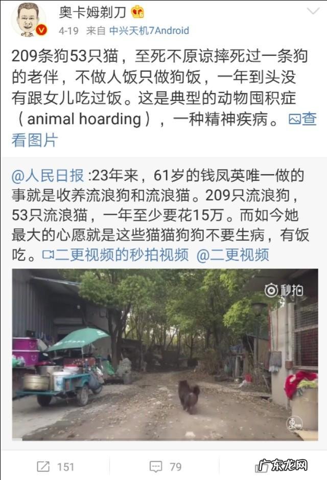 怎么看待甘肃女教师卖房产养240条流浪狗一事?