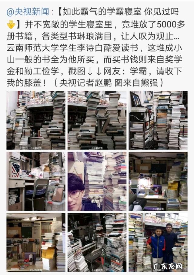 怎么看待甘肃女教师卖房产养240条流浪狗一事?