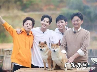 给中国的所有综艺排一个名次,按你的真实想法,哪三个节目可以算“最优秀”,上榜理由?