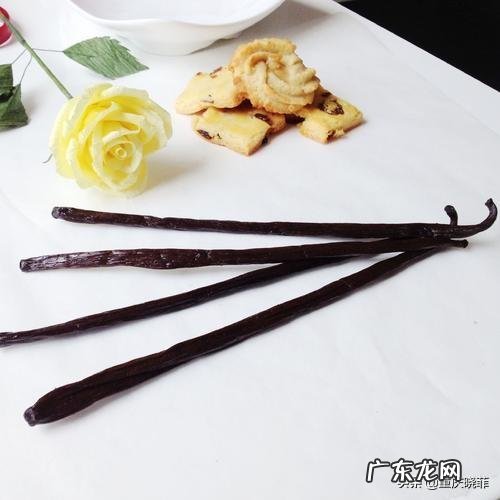 香草精可以用什么代替?