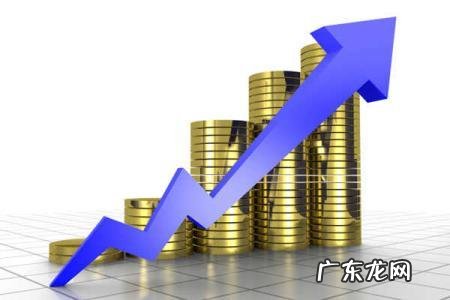 净资产是什么意思?