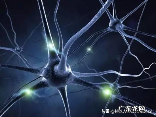 健身教练说半年甚至三个月就可以帮你塑造成魔鬼身材和健美身材?你怎么看?