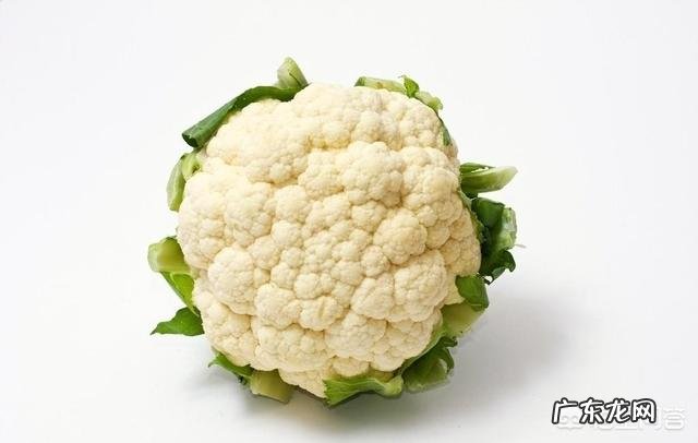 菜花的营养价值有多高?