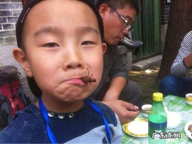 有哪些能吃但却在中国物种泛滥的动物