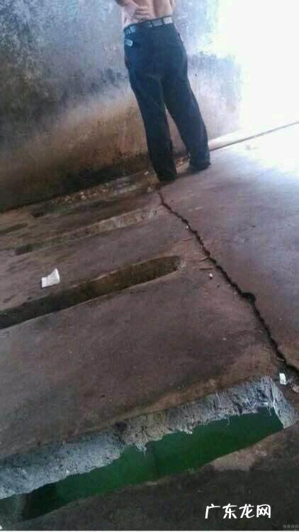 你死也不会吃的东西是什么