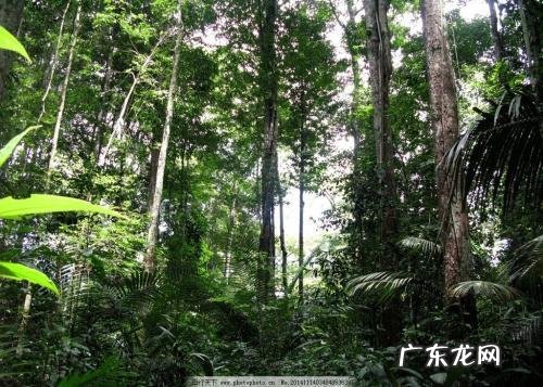 人为什么不能不吃盐,其他动物为什么不吃盐还很健康,吃盐是人类与生俱来的缺陷吗?