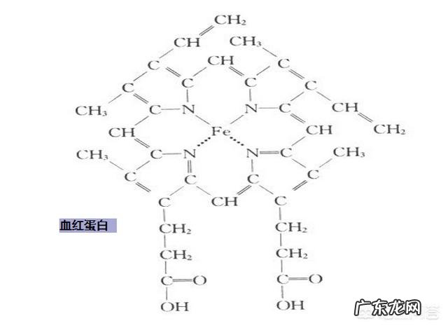 人为什么不能不吃盐,其他动物为什么不吃盐还很健康,吃盐是人类与生俱来的缺陷吗?