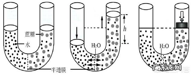 人为什么不能不吃盐,其他动物为什么不吃盐还很健康,吃盐是人类与生俱来的缺陷吗?