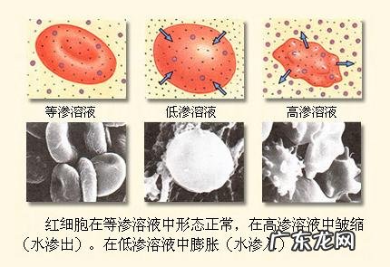 人为什么不能不吃盐,其他动物为什么不吃盐还很健康,吃盐是人类与生俱来的缺陷吗?