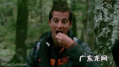 人为什么不能不吃盐,其他动物为什么不吃盐还很健康,吃盐是人类与生俱来的缺陷吗?