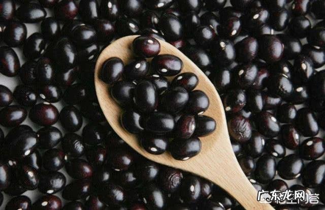 人为什么不能不吃盐,其他动物为什么不吃盐还很健康,吃盐是人类与生俱来的缺陷吗?