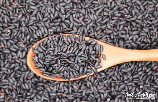 人为什么不能不吃盐,其他动物为什么不吃盐还很健康,吃盐是人类与生俱来的缺陷吗?