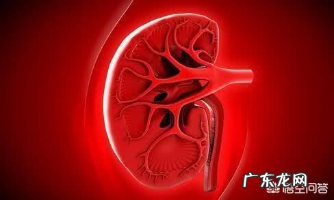 人为什么不能不吃盐,其他动物为什么不吃盐还很健康,吃盐是人类与生俱来的缺陷吗?