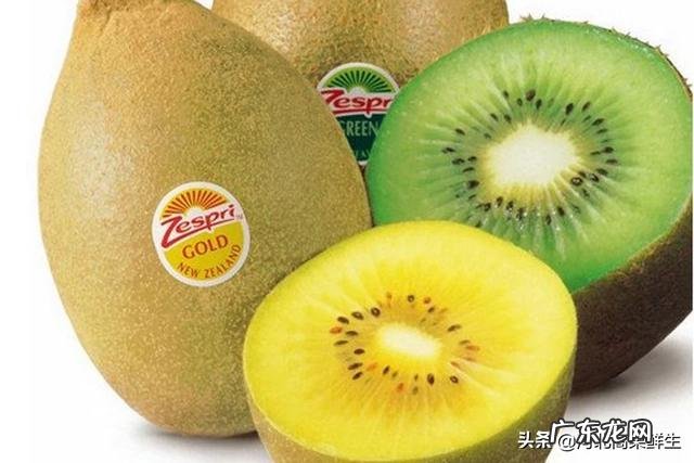 奇异果和猕猴桃怎么区别?