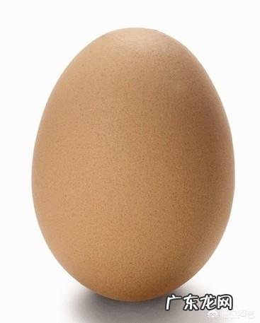 价格不菲的燕窝营养价值会不如一个鸡蛋吗?