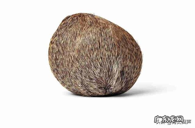 古代青楼女子有什么方法避孕的,她们是怎么做的?