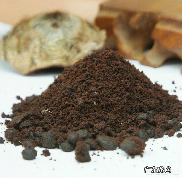 古代青楼女子有什么方法避孕的,她们是怎么做的?