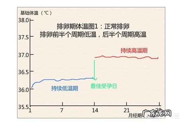 月经来完了怎么算排卵期?